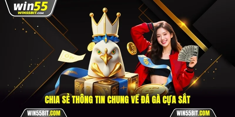 Bật mí đôi điều cơ bản đá gà cựa sắt Win55