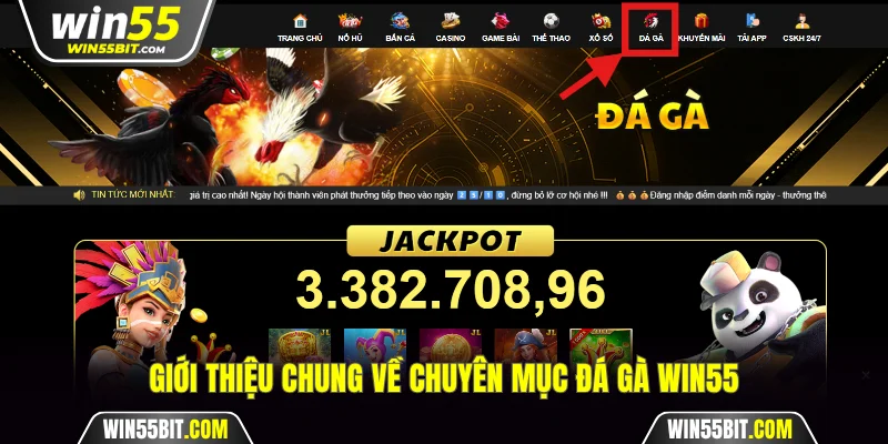 Giới thiệu chung về chuyên mục đá gà Win55
