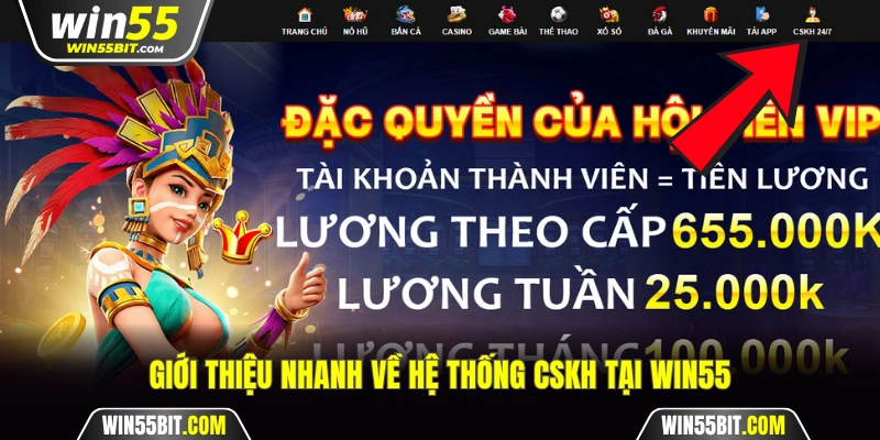 Giới thiệu nhanh về hệ thống CSKH