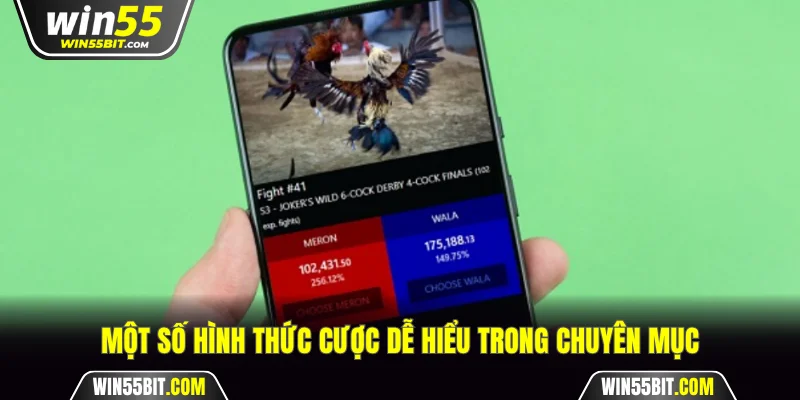 Một số hình thức cược dễ hiểu trong chuyên mục