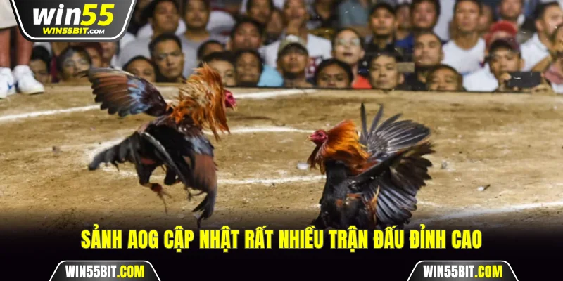 Sảnh AOG cập nhật rất nhiều trận đấu đỉnh cao