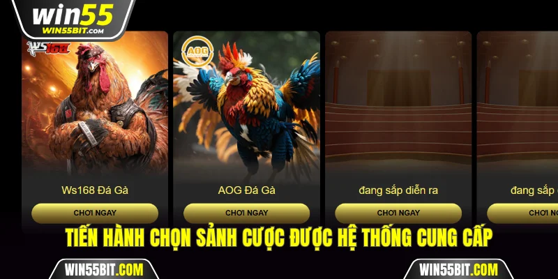 Tiến hành chọn sảnh cược được hệ thống cung cấp